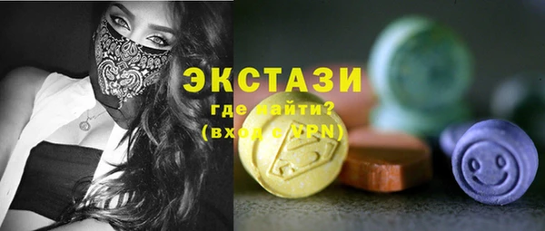 гидра Богородицк