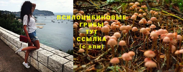 спайс Верея