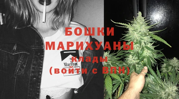 спайс Верея