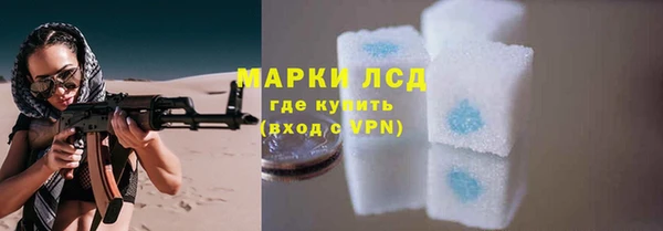 молекула духа Бородино
