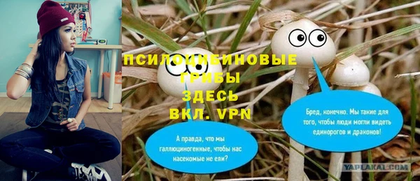 альфа пвп Верхнеуральск