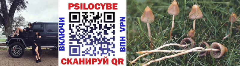 Псилоцибиновые грибы мухоморы  blacksprut как войти  Ивангород 