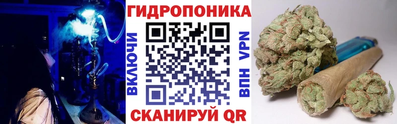 Канабис индика  Ивангород 